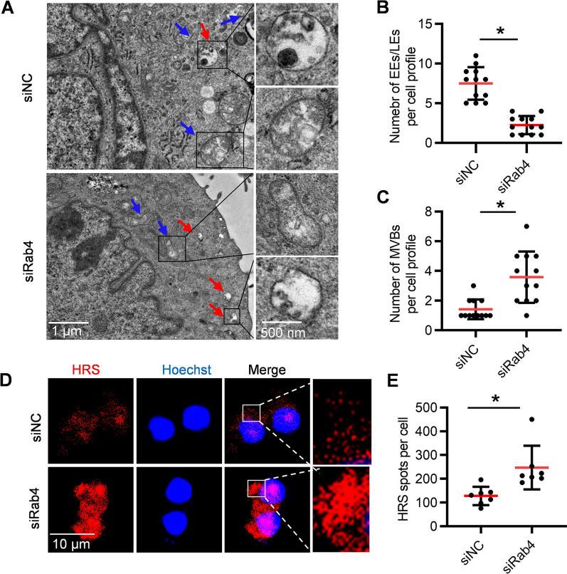 https://cdn.ncbi.nlm.nih.gov/pmc/blobs/b3ac/9618217/d24da0129fed/12951_2022_1668_Fig2_HTML.jpg
