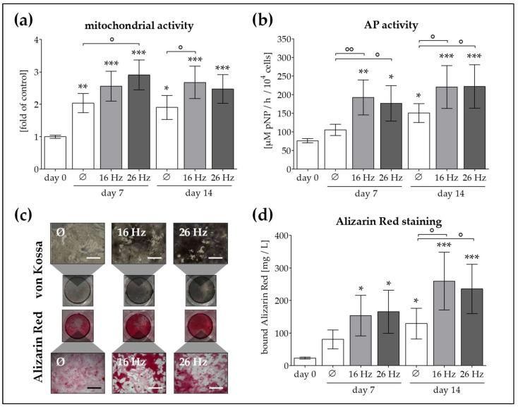 https://cdn.ncbi.nlm.nih.gov/pmc/blobs/b3ae/5979428/0abb23246d6b/ijms-19-00994-g003.jpg