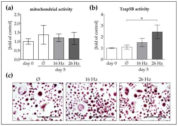 https://cdn.ncbi.nlm.nih.gov/pmc/blobs/b3ae/5979428/571b5a607e28/ijms-19-00994-g004.jpg