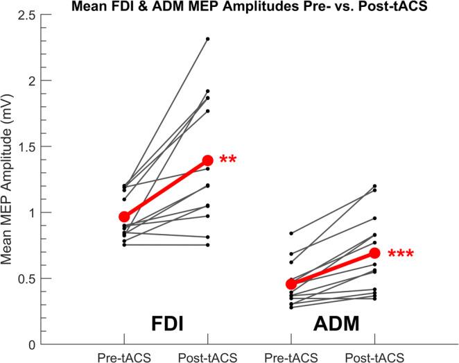 https://cdn.ncbi.nlm.nih.gov/pmc/blobs/b3af/11880748/bb4085245254/EJN-61-0-g004.jpg