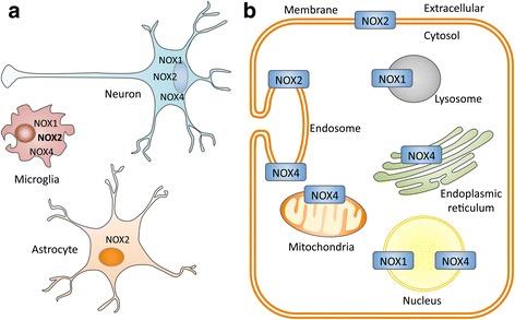 https://cdn.ncbi.nlm.nih.gov/pmc/blobs/b3af/5683583/090ccd1b40e2/13024_2017_225_Fig2_HTML.jpg