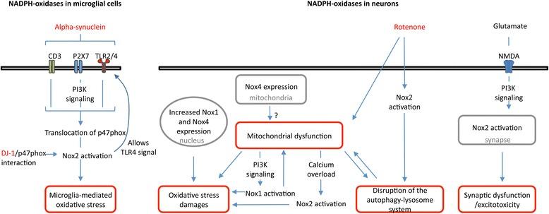 https://cdn.ncbi.nlm.nih.gov/pmc/blobs/b3af/5683583/589d1313ac2f/13024_2017_225_Fig4_HTML.jpg