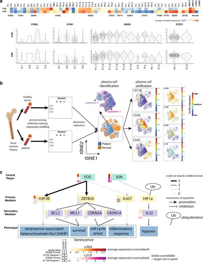 https://cdn.ncbi.nlm.nih.gov/pmc/blobs/b3af/8105337/42cdee9fd03b/41467_2021_22804_Fig7_HTML.jpg