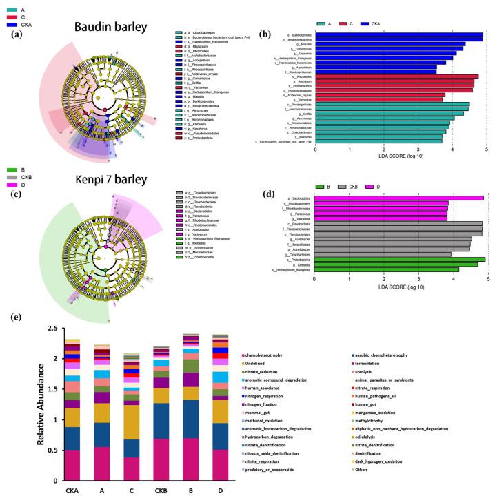 https://cdn.ncbi.nlm.nih.gov/pmc/blobs/b3b1/12114492/bef88b721cea/microorganisms-13-01010-g005.jpg