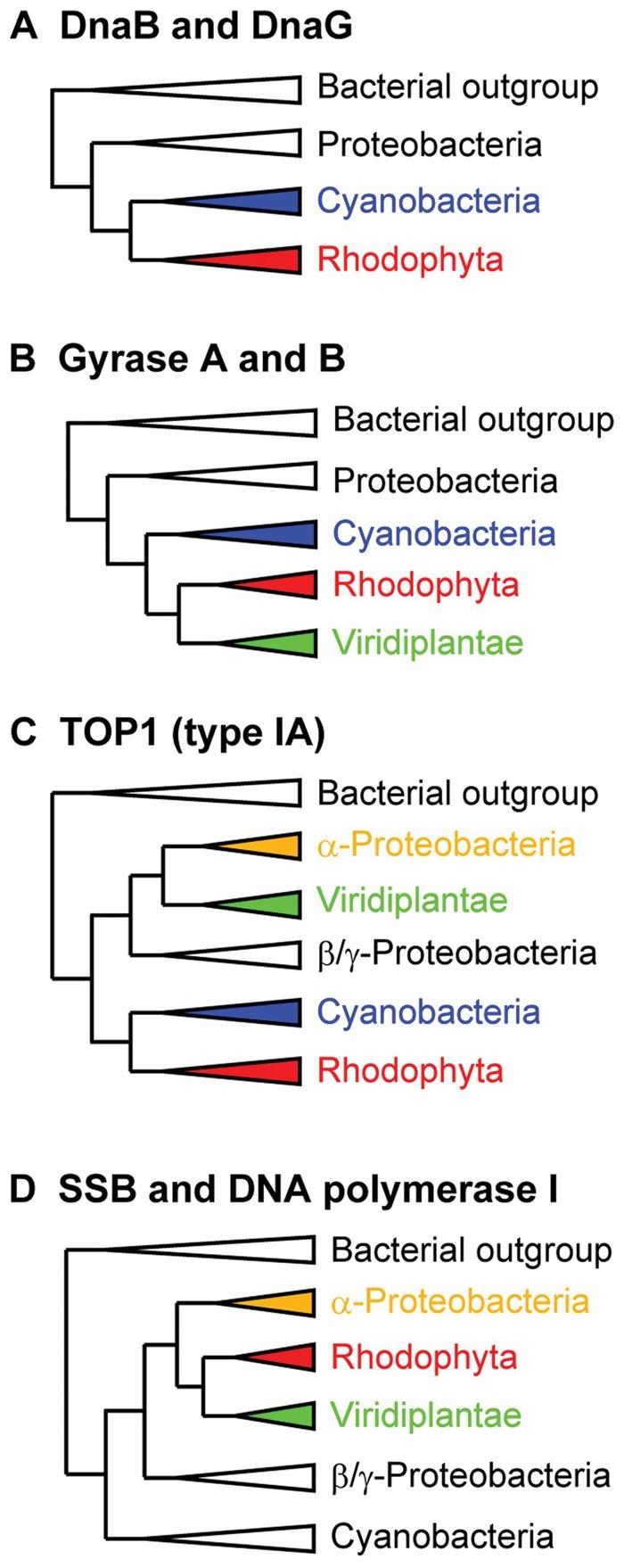 https://cdn.ncbi.nlm.nih.gov/pmc/blobs/b3b3/3914683/73cec7f749f2/evu009f2p.jpg