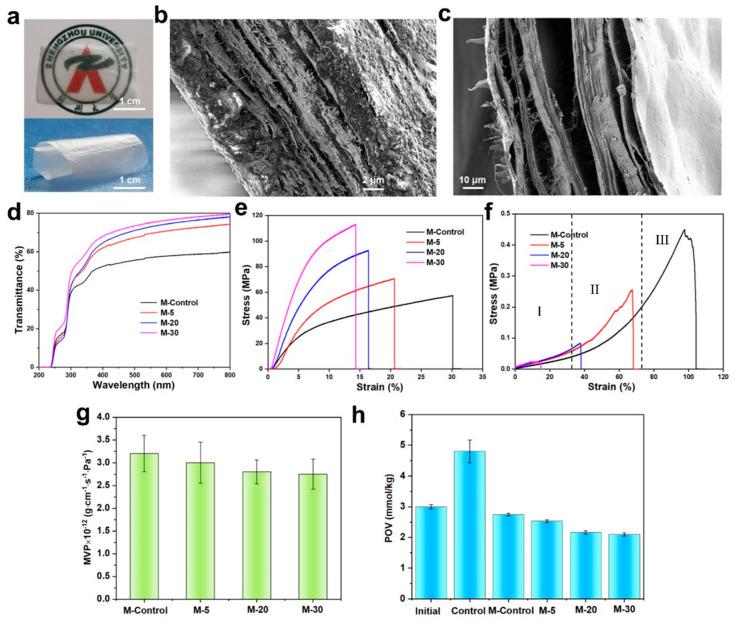 https://cdn.ncbi.nlm.nih.gov/pmc/blobs/b3b5/10574992/fcc1888a1c27/polymers-15-04008-g004.jpg