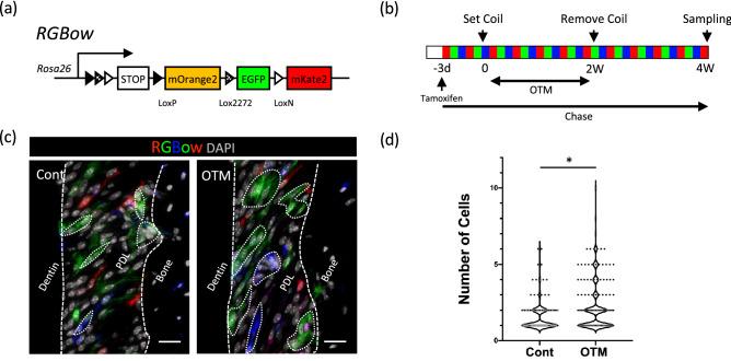 https://cdn.ncbi.nlm.nih.gov/pmc/blobs/b3b5/8105403/3394e1833ad7/41598_2021_89156_Fig5_HTML.jpg