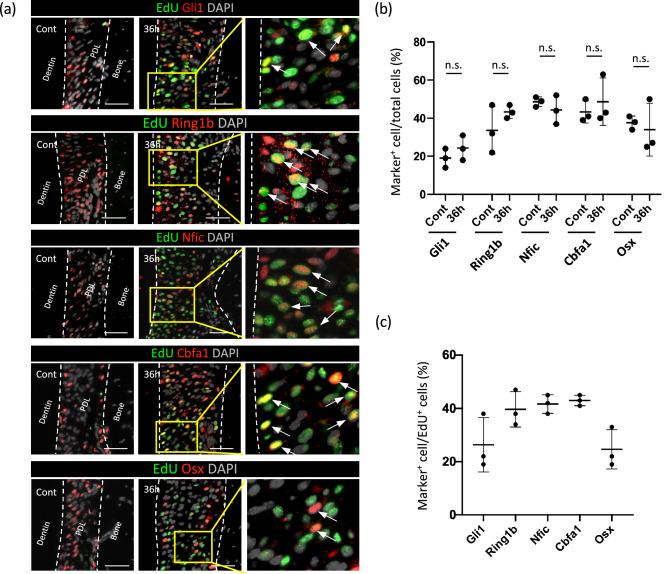https://cdn.ncbi.nlm.nih.gov/pmc/blobs/b3b5/8105403/41429a84c31d/41598_2021_89156_Fig3_HTML.jpg