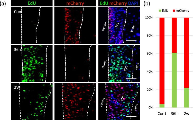 https://cdn.ncbi.nlm.nih.gov/pmc/blobs/b3b5/8105403/4dd9031a4e91/41598_2021_89156_Fig2_HTML.jpg