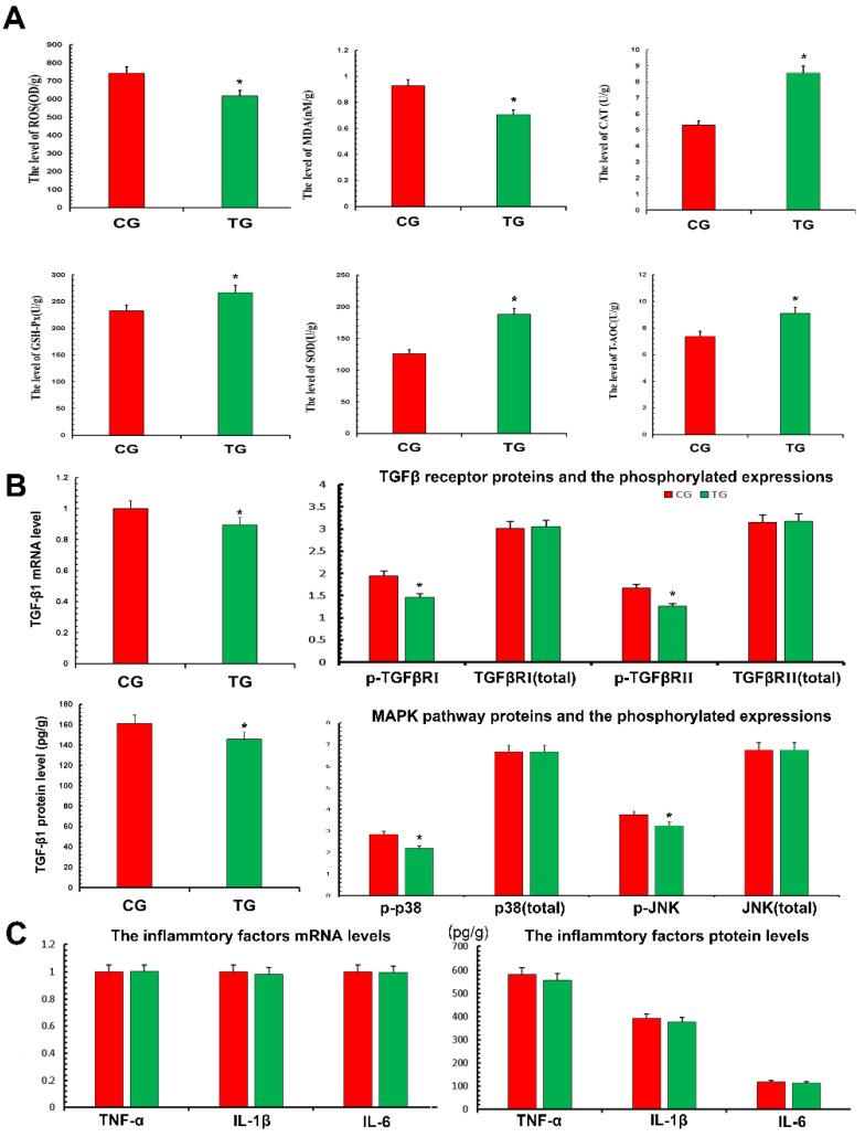 https://cdn.ncbi.nlm.nih.gov/pmc/blobs/b3b5/9699432/c9272bd4ca1f/metabolites-12-01009-g004.jpg