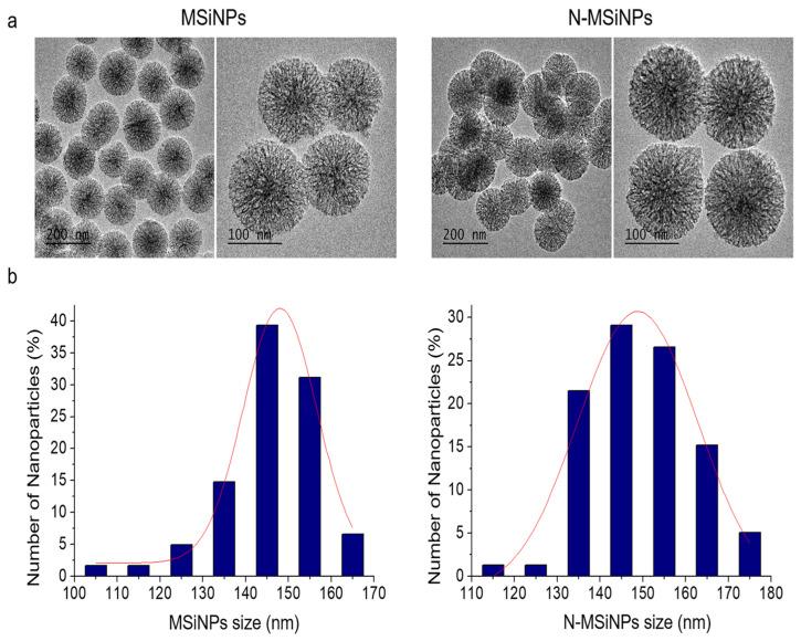https://cdn.ncbi.nlm.nih.gov/pmc/blobs/b3b8/9026300/38ae8aa4a13b/jcm-11-02170-g001.jpg