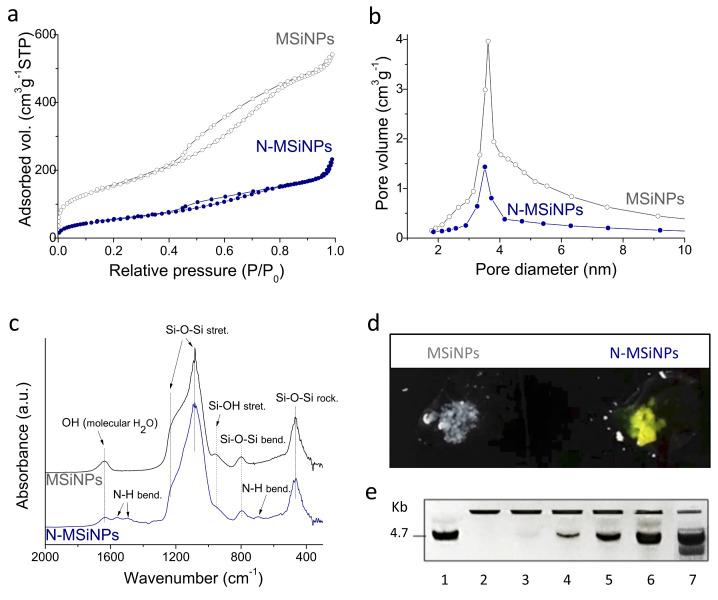 https://cdn.ncbi.nlm.nih.gov/pmc/blobs/b3b8/9026300/66bb38a54980/jcm-11-02170-g002.jpg