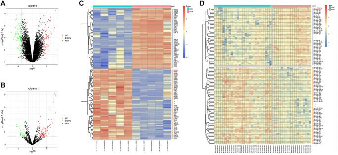 https://cdn.ncbi.nlm.nih.gov/pmc/blobs/b3b9/9417240/4589e45ff4e4/aging-14-204198-g001.jpg