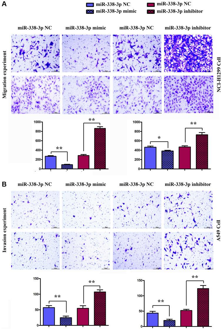 https://cdn.ncbi.nlm.nih.gov/pmc/blobs/b3b9/9417240/d327160ec315/aging-14-204198-g006.jpg