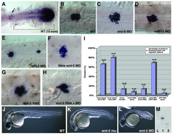https://cdn.ncbi.nlm.nih.gov/pmc/blobs/b3ba/1276788/0cf73102dc22/1741-7007-3-23-3.jpg