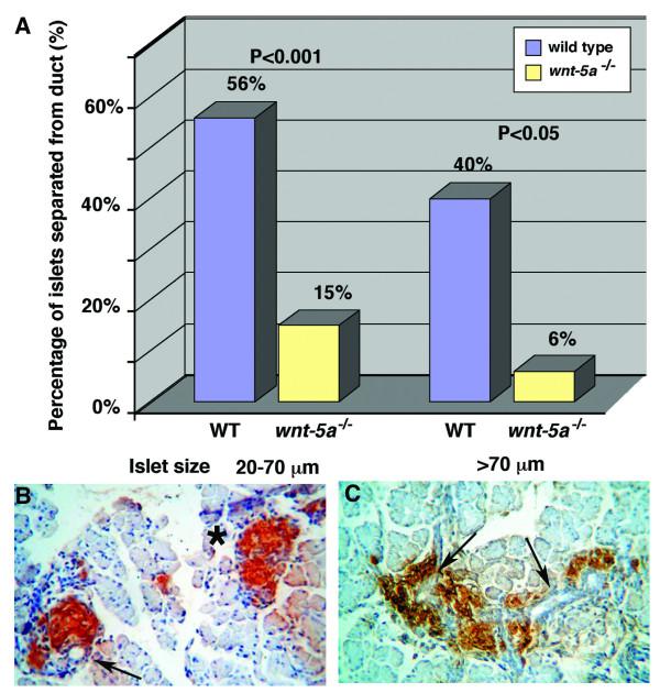 https://cdn.ncbi.nlm.nih.gov/pmc/blobs/b3ba/1276788/5674f3ef0106/1741-7007-3-23-10.jpg