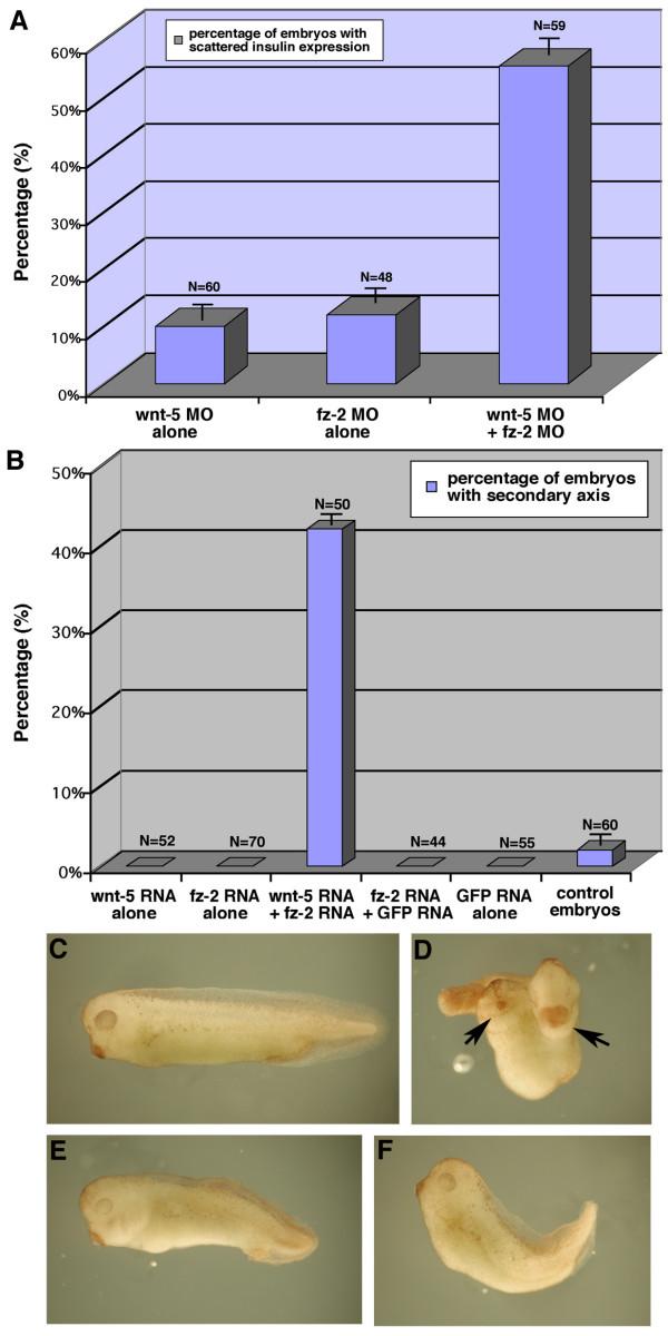 https://cdn.ncbi.nlm.nih.gov/pmc/blobs/b3ba/1276788/987d635b7b52/1741-7007-3-23-7.jpg