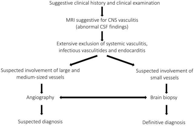 https://cdn.ncbi.nlm.nih.gov/pmc/blobs/b3bc/8782817/a527846492ab/415_2021_10683_Fig1_HTML.jpg