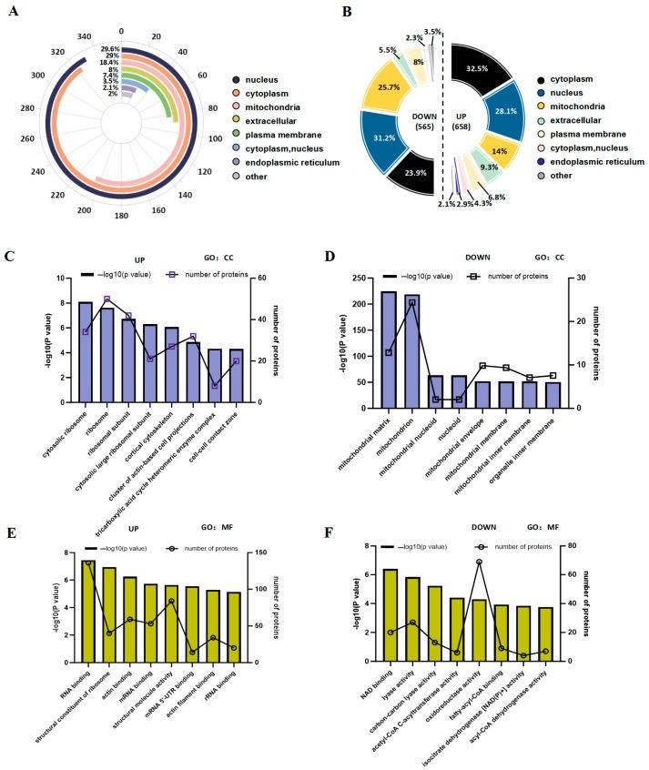 https://cdn.ncbi.nlm.nih.gov/pmc/blobs/b3bd/12383627/c15e21a8231d/biology-14-00917-g005.jpg