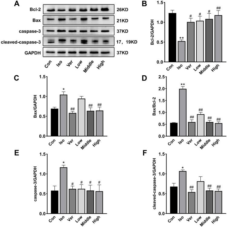 https://cdn.ncbi.nlm.nih.gov/pmc/blobs/b3bf/9484776/d18bab8b4e58/DDDT-16-3117-g0009.jpg