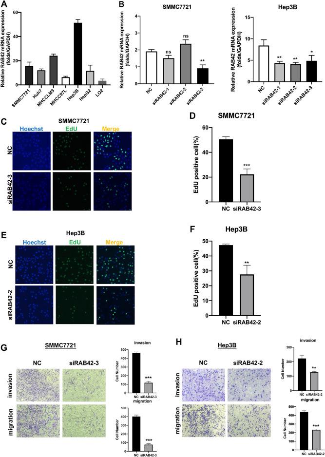 https://cdn.ncbi.nlm.nih.gov/pmc/blobs/b3c0/9204584/488957818f67/fmolb-09-898567-g010.jpg