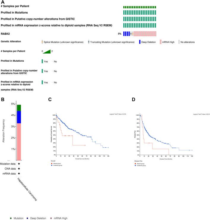 https://cdn.ncbi.nlm.nih.gov/pmc/blobs/b3c0/9204584/9d2f9f01b960/fmolb-09-898567-g004.jpg