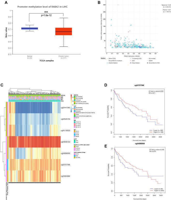 https://cdn.ncbi.nlm.nih.gov/pmc/blobs/b3c0/9204584/a454e5a08580/fmolb-09-898567-g005.jpg