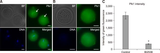 https://cdn.ncbi.nlm.nih.gov/pmc/blobs/b3c1/6351765/198a561696d7/jvs-20-2-g002.jpg