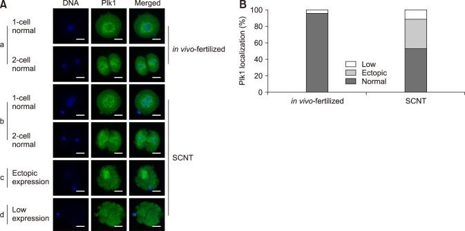 https://cdn.ncbi.nlm.nih.gov/pmc/blobs/b3c1/6351765/da228e6400bf/jvs-20-2-g005.jpg