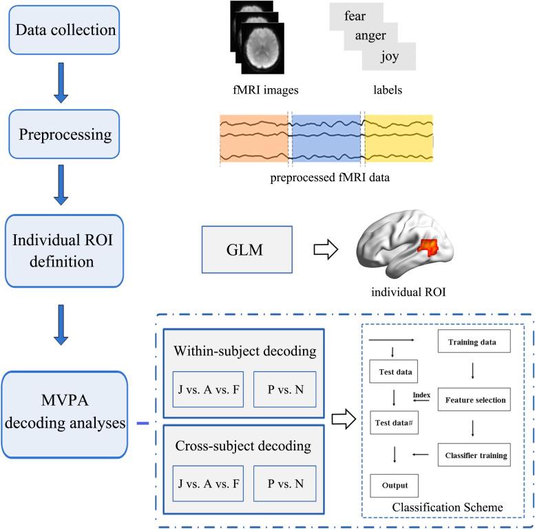 https://cdn.ncbi.nlm.nih.gov/pmc/blobs/b3c1/7591793/cee0222ba4c6/fnins-14-567797-g003.jpg