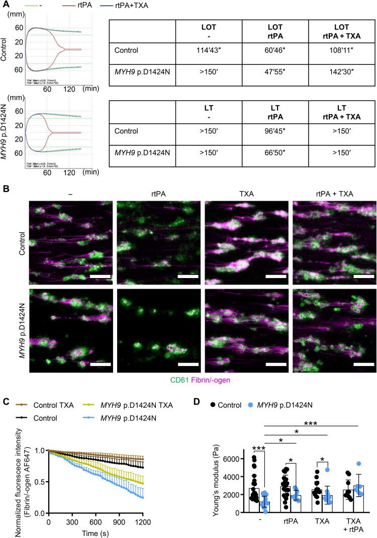 https://cdn.ncbi.nlm.nih.gov/pmc/blobs/b3c1/9116608/8469caf639c9/sciadv.abn2627-f7.jpg