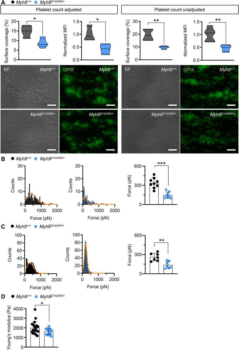 https://cdn.ncbi.nlm.nih.gov/pmc/blobs/b3c1/9116608/d76e7d71bfb7/sciadv.abn2627-f4.jpg