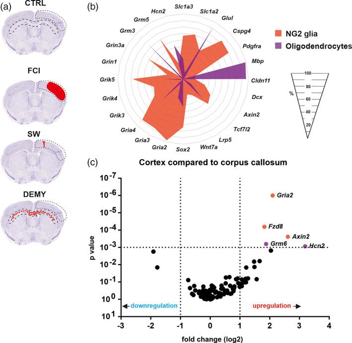 https://cdn.ncbi.nlm.nih.gov/pmc/blobs/b3c6/9292252/810863b4bc8d/GLIA-69-2658-g004.jpg