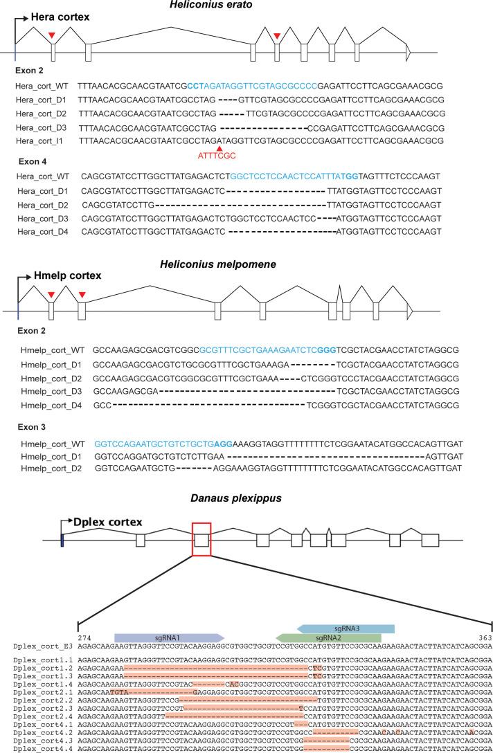 https://cdn.ncbi.nlm.nih.gov/pmc/blobs/b3c8/8289415/0f6387747ed9/elife-68549-fig4-figsupp1.jpg