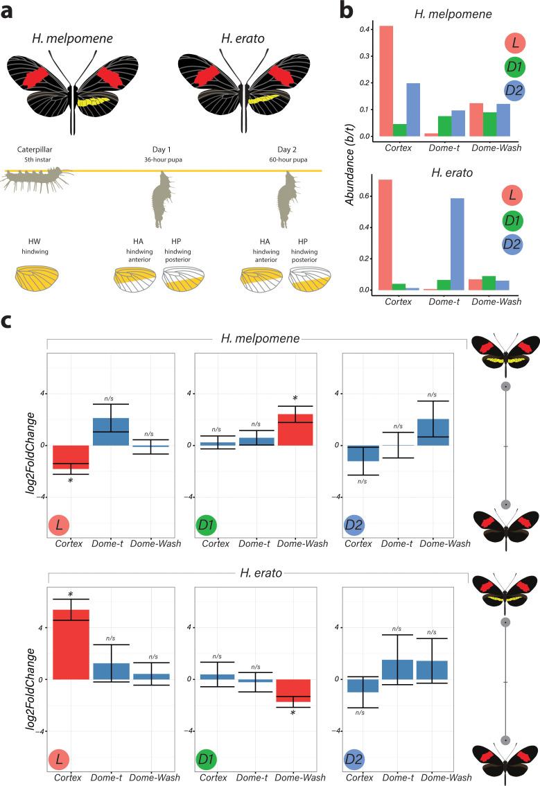 https://cdn.ncbi.nlm.nih.gov/pmc/blobs/b3c8/8289415/18655edc9899/elife-68549-fig2.jpg