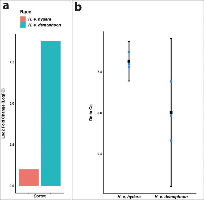 https://cdn.ncbi.nlm.nih.gov/pmc/blobs/b3c8/8289415/50523e456b7e/elife-68549-fig2-figsupp1.jpg