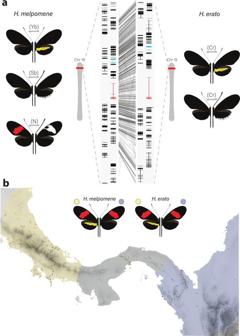 https://cdn.ncbi.nlm.nih.gov/pmc/blobs/b3c8/8289415/5a6424d7ccd0/elife-68549-fig1.jpg