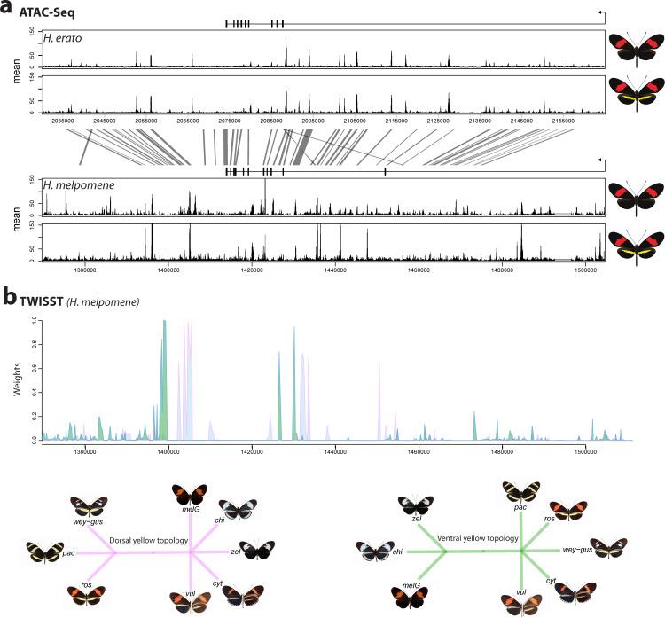 https://cdn.ncbi.nlm.nih.gov/pmc/blobs/b3c8/8289415/c1da67cb200d/elife-68549-fig7-figsupp1.jpg