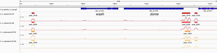 https://cdn.ncbi.nlm.nih.gov/pmc/blobs/b3c8/8289415/d406bd92e300/elife-68549-fig1-figsupp4.jpg