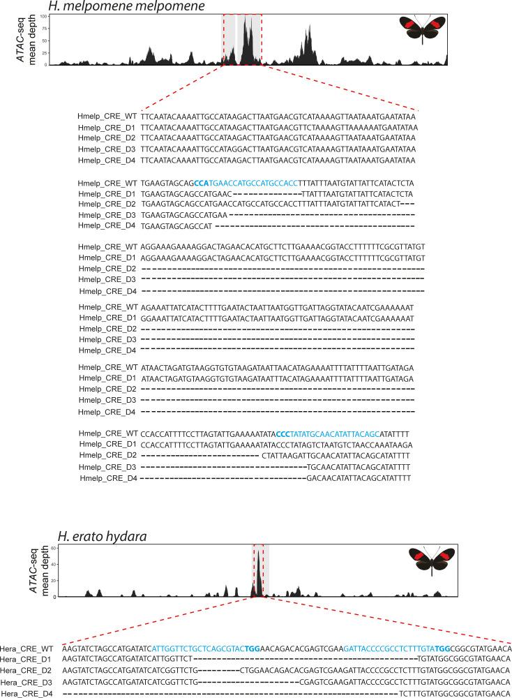 https://cdn.ncbi.nlm.nih.gov/pmc/blobs/b3c8/8289415/d551b35bbf1e/elife-68549-fig7-figsupp4.jpg