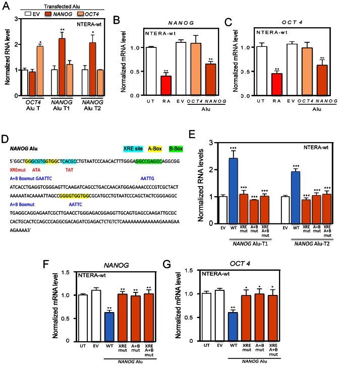 https://cdn.ncbi.nlm.nih.gov/pmc/blobs/b3ca/4889919/22fff0c49369/gkw095fig7.jpg
