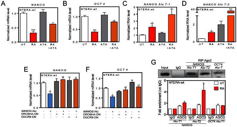 https://cdn.ncbi.nlm.nih.gov/pmc/blobs/b3ca/4889919/29e3b8a92468/gkw095fig8.jpg