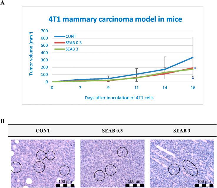 https://cdn.ncbi.nlm.nih.gov/pmc/blobs/b3cb/12075410/ed98112c420d/fphar-16-1561436-g001.jpg