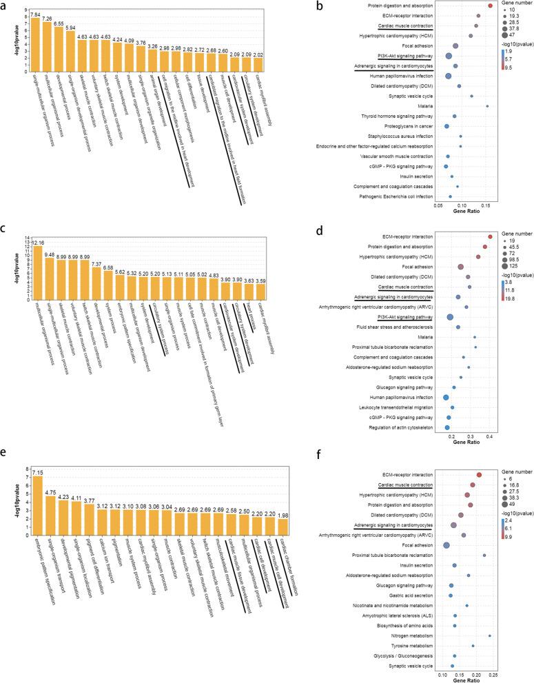 https://cdn.ncbi.nlm.nih.gov/pmc/blobs/b3cb/9375324/cb9c91c59a65/12864_2022_8808_Fig4_HTML.jpg