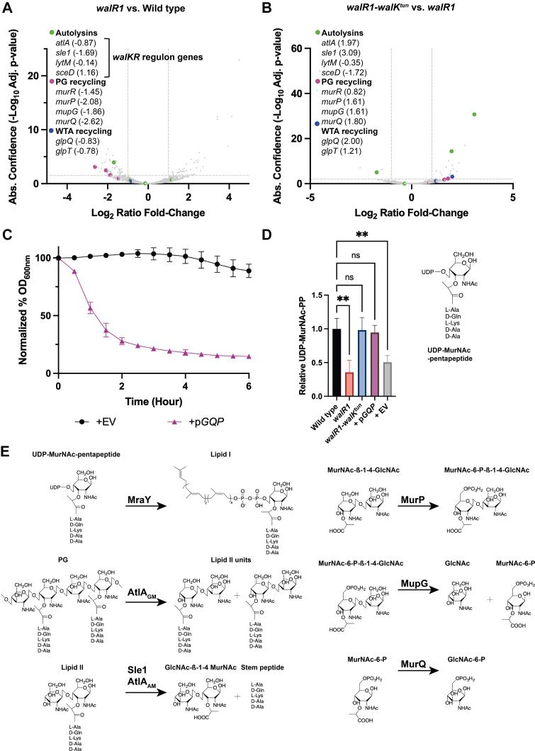 https://cdn.ncbi.nlm.nih.gov/pmc/blobs/b3cb/9547203/260a88c6ed4f/gr3.jpg