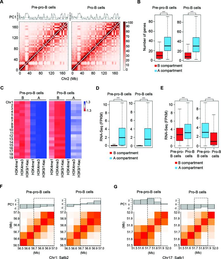 https://cdn.ncbi.nlm.nih.gov/pmc/blobs/b3cd/5737614/7bdfa89a8c91/gkx722fig1.jpg