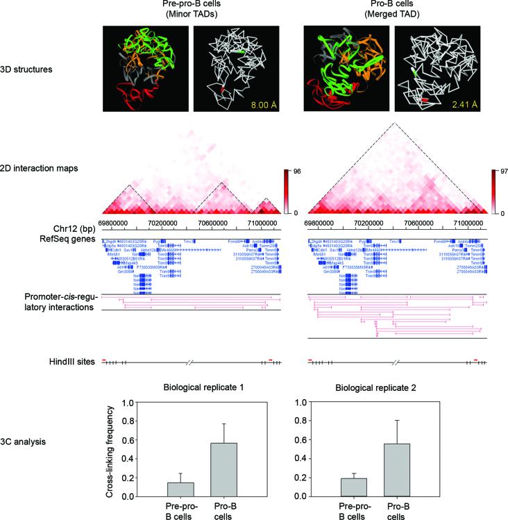 https://cdn.ncbi.nlm.nih.gov/pmc/blobs/b3cd/5737614/8f2d6d8d0e31/gkx722fig4.jpg