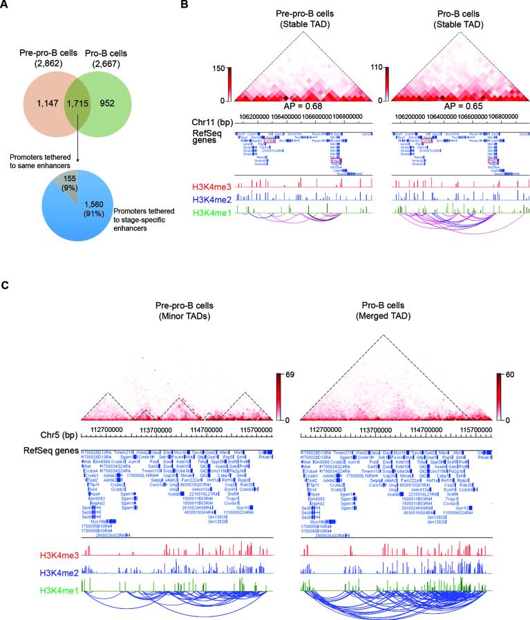 https://cdn.ncbi.nlm.nih.gov/pmc/blobs/b3cd/5737614/ad6cb438f74d/gkx722fig2.jpg