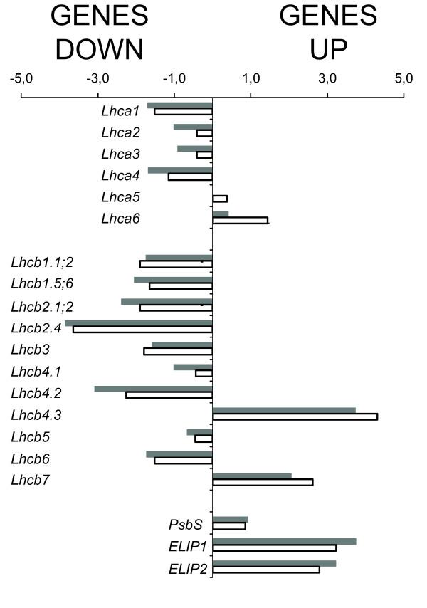 https://cdn.ncbi.nlm.nih.gov/pmc/blobs/b3d1/3083342/2a47a73d8921/1471-2229-11-62-3.jpg
