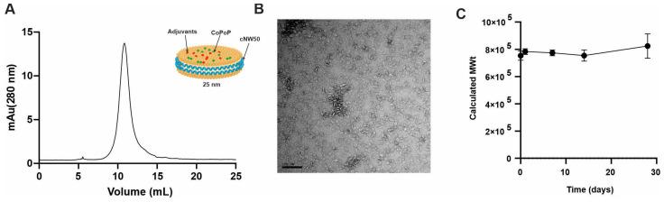 https://cdn.ncbi.nlm.nih.gov/pmc/blobs/b3d2/10675430/900eb43dcc67/vaccines-11-01655-g001.jpg
